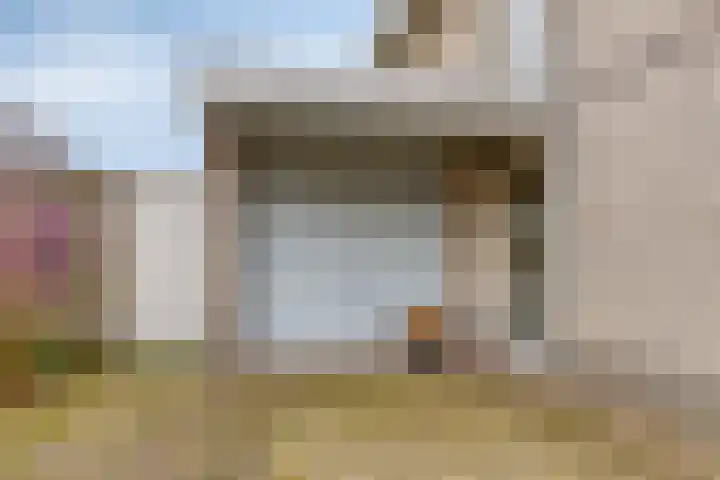 Jonagold 13 Elst thumbnail 5