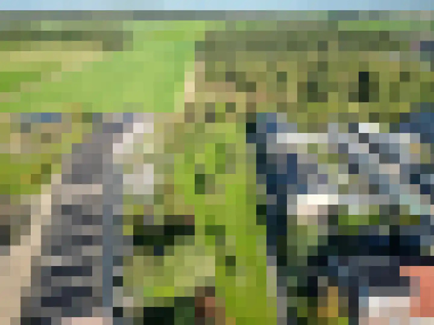 Jonagold 15 Assen thumbnail 10