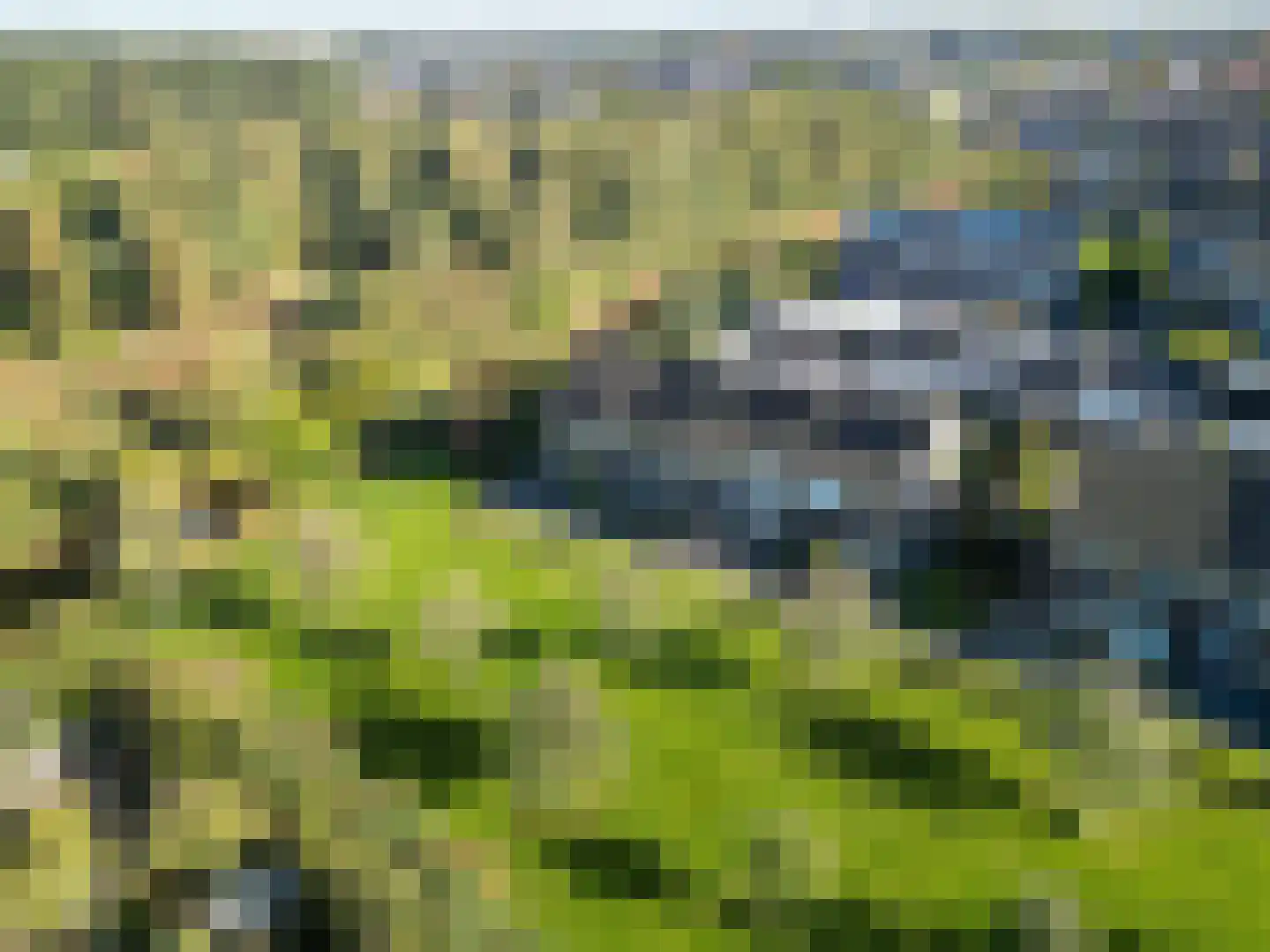 Jonagold 15 Assen thumbnail 11
