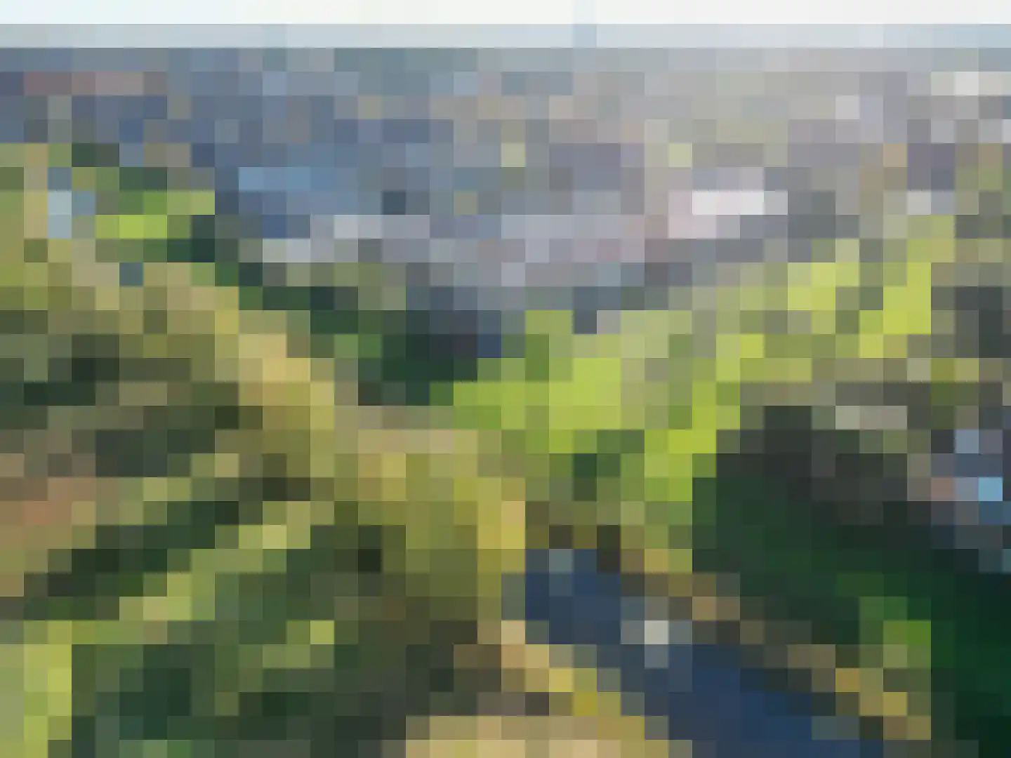 Jonagold 15 Assen thumbnail 12