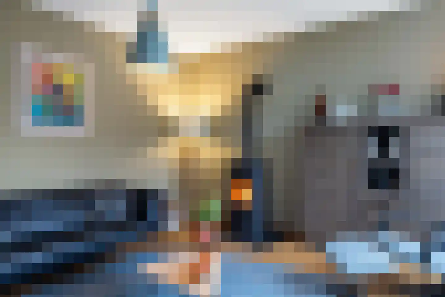 Jonagold 15 Assen thumbnail 24