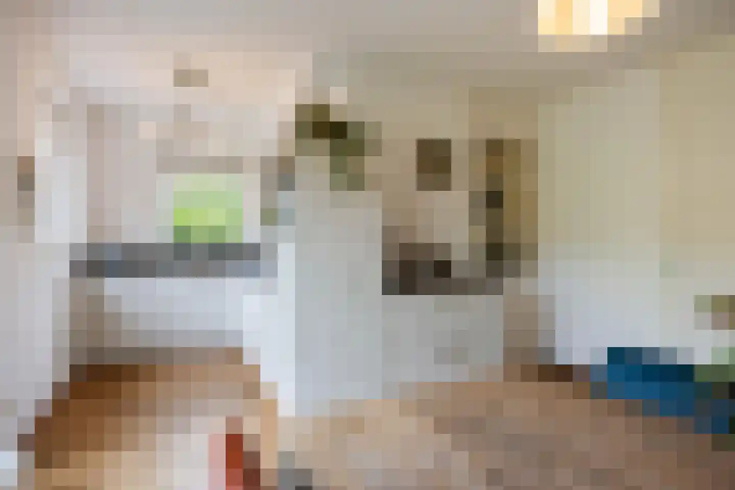 Jonagold 15 Assen thumbnail 30