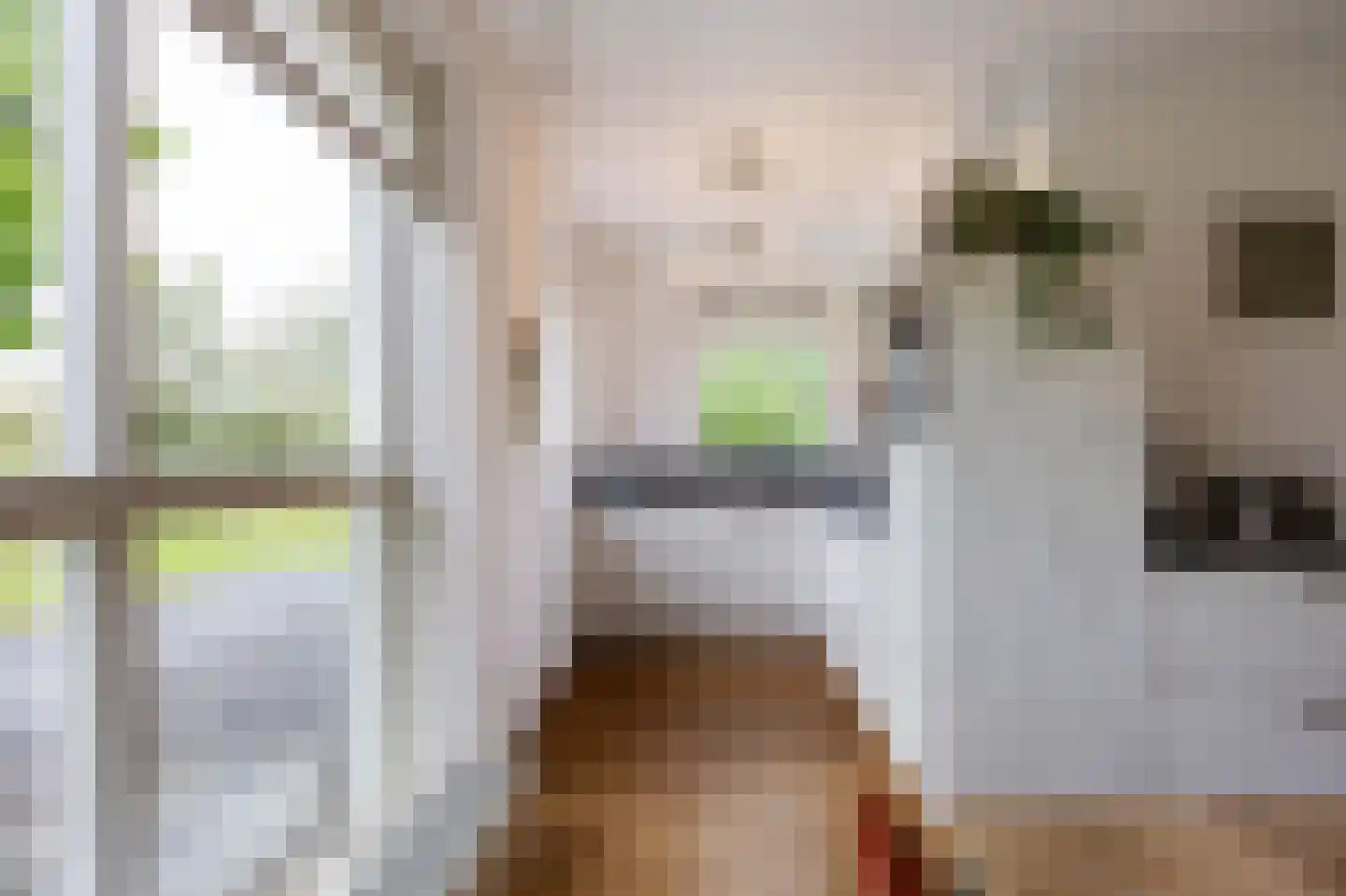 Jonagold 15 Assen thumbnail 31