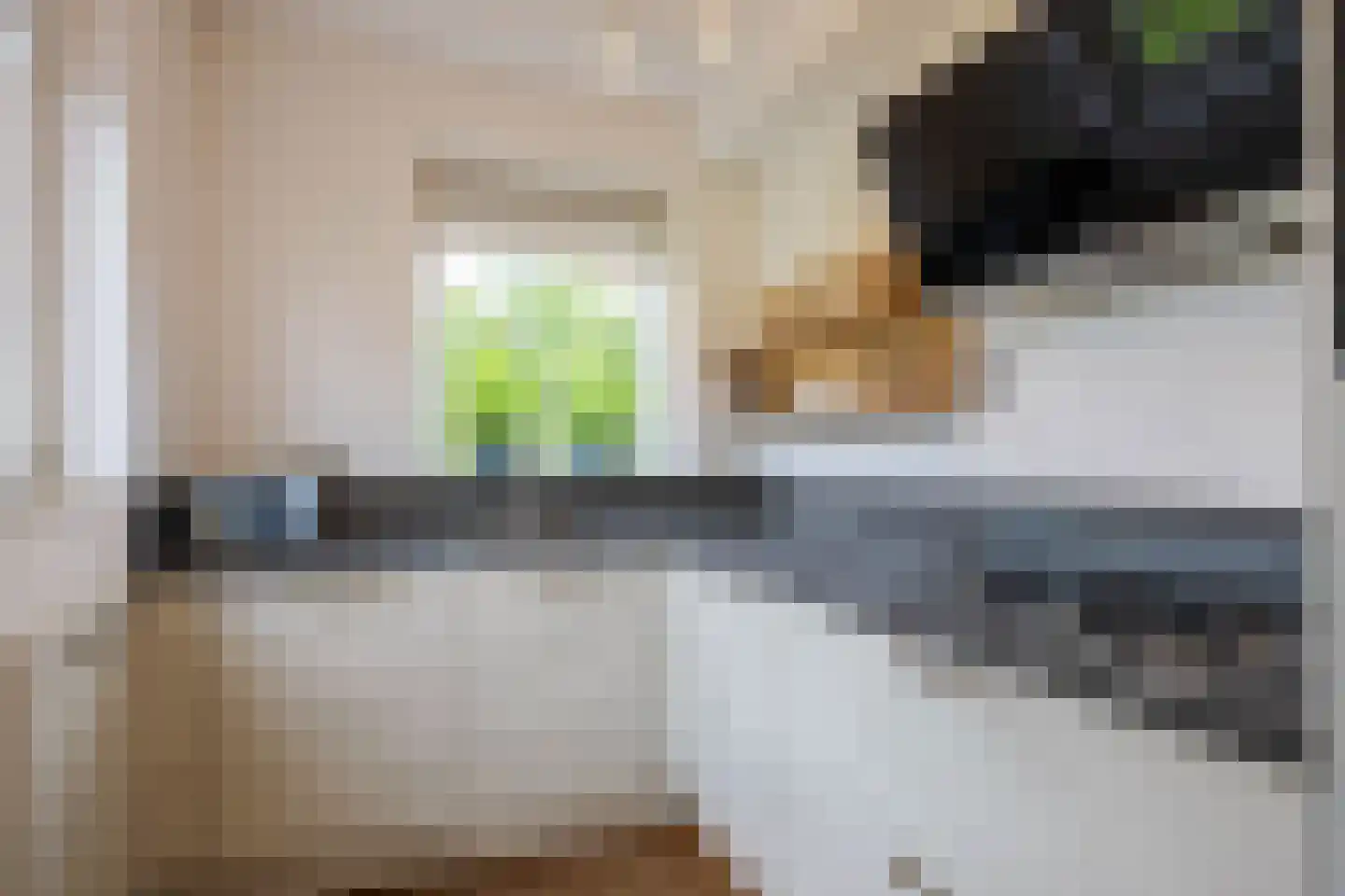 Jonagold 15 Assen thumbnail 32
