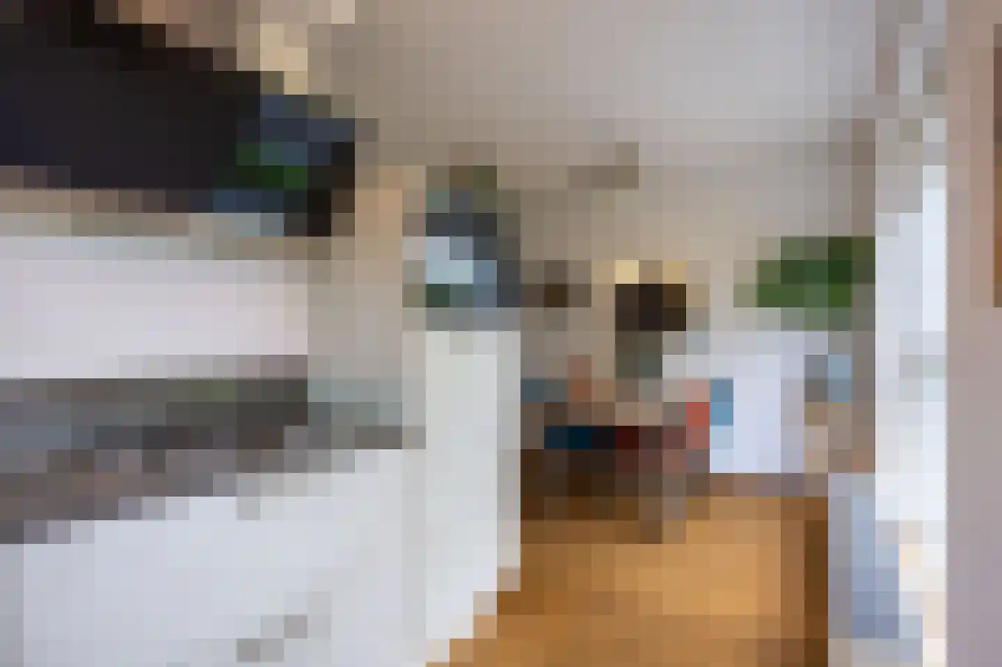 Jonagold 15 Assen thumbnail 34