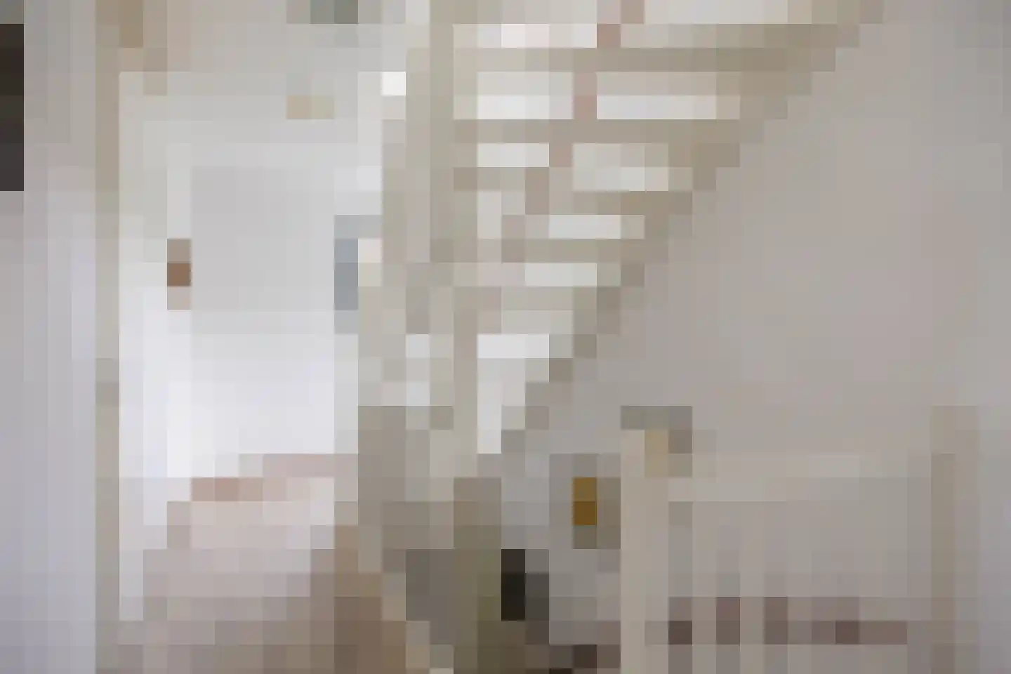 Jonagold 15 Assen thumbnail 37