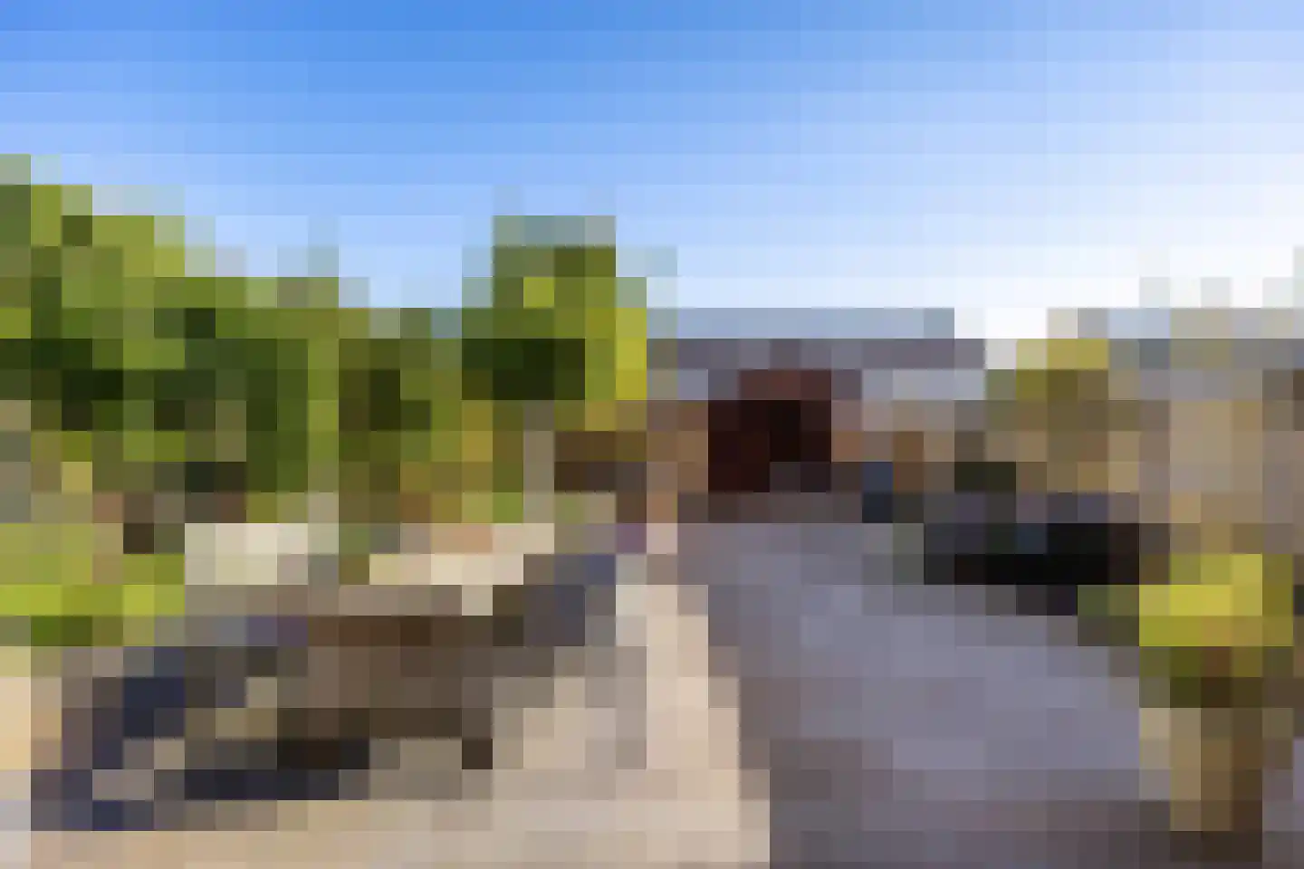Jonagold 15 Assen thumbnail 54
