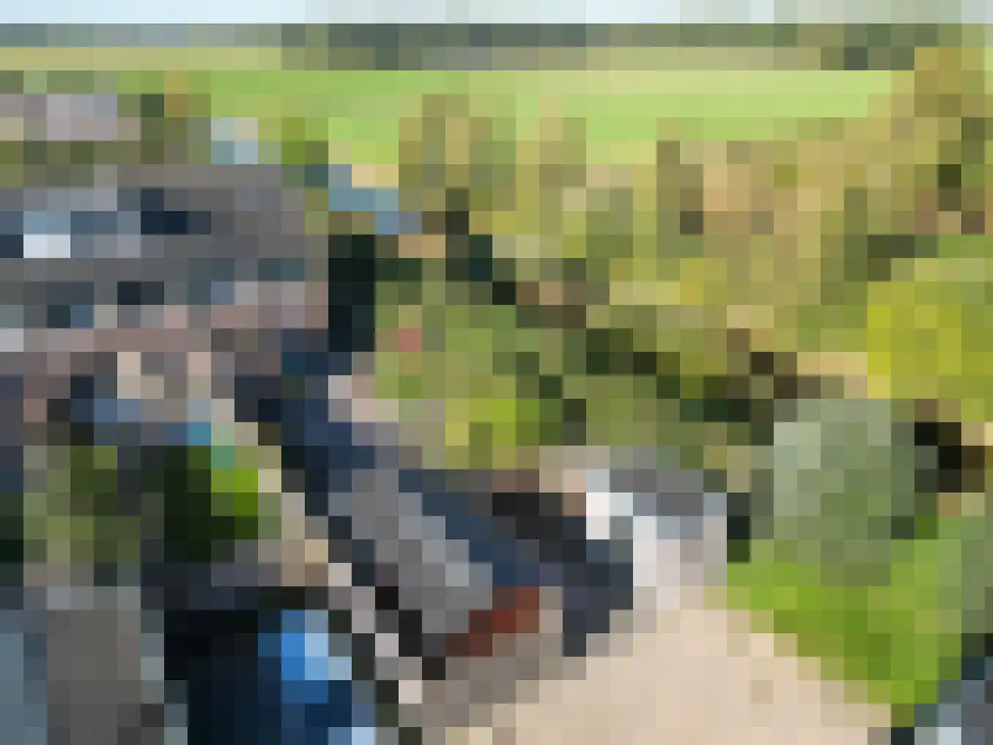 Jonagold 15 Assen thumbnail 63