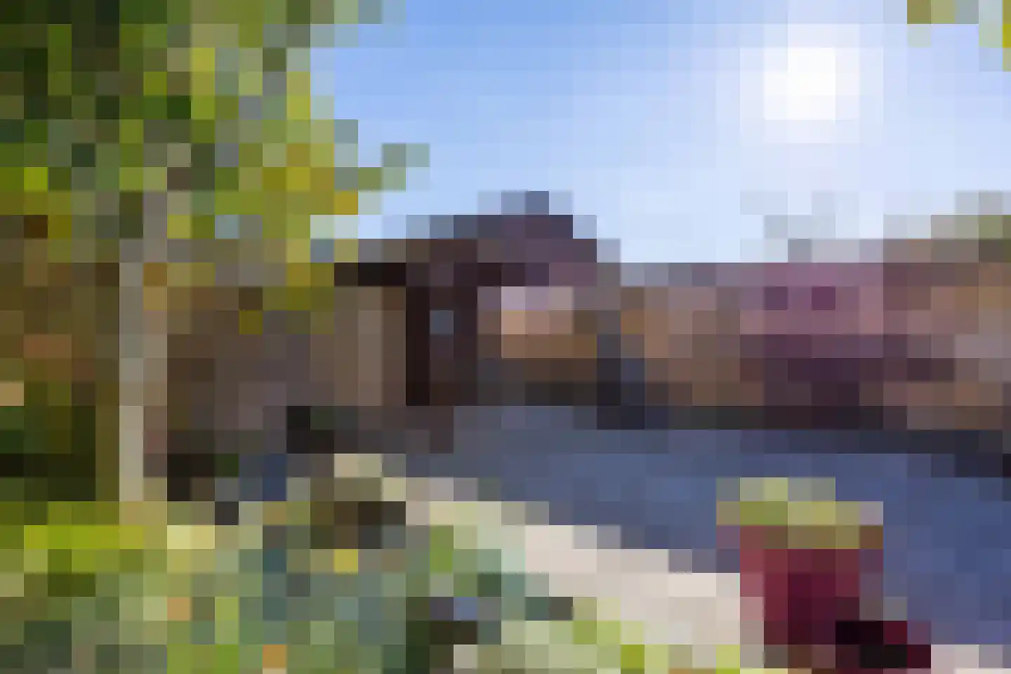 Jonagold 15 Assen thumbnail 8