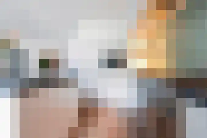 Jonagold 39 Berkel-Enschot thumbnail 10