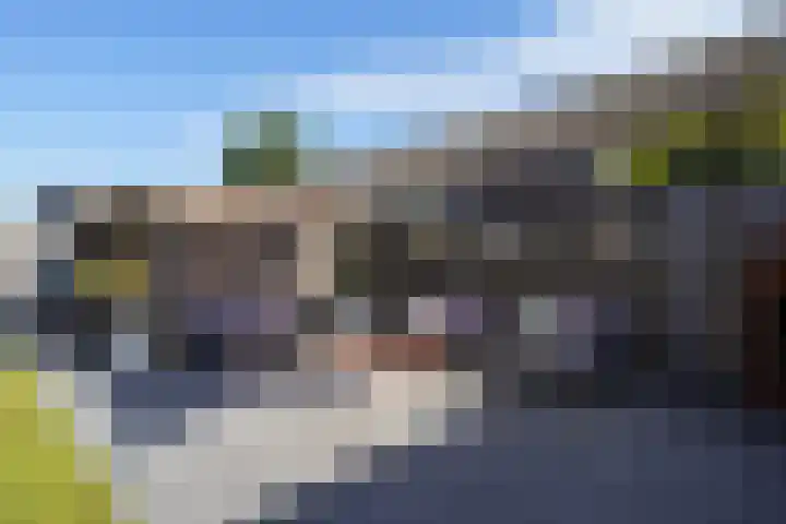 Jonagold 39 Berkel-Enschot thumbnail 41