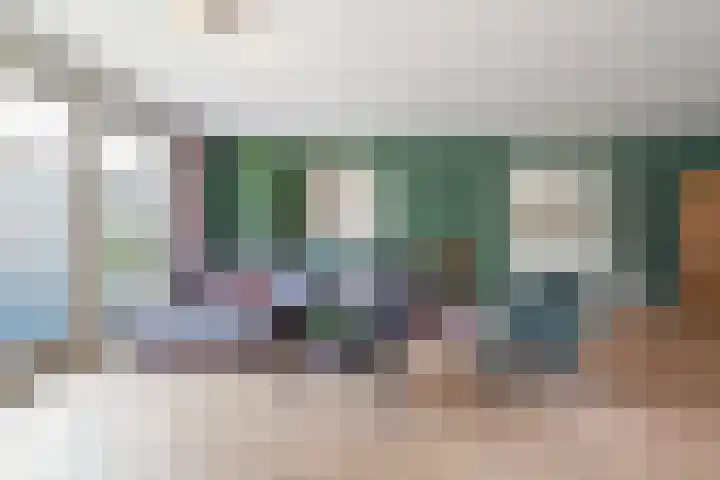 Jonagold 39 Berkel-Enschot thumbnail 5