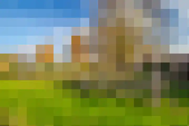 Jonagold 42 Elst thumbnail 10
