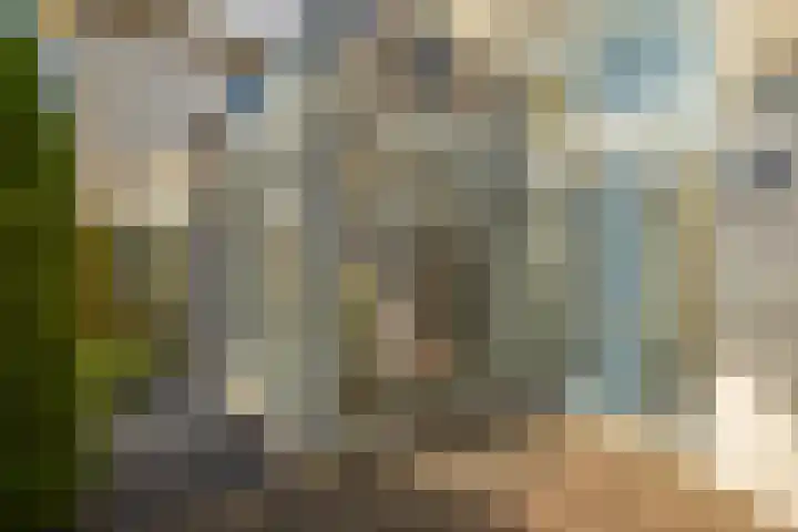 Jonagold 42 Elst thumbnail 15