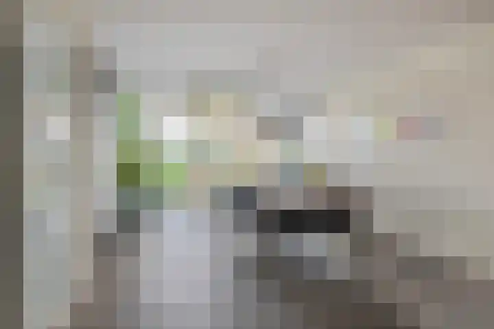 Jonagold 42 Elst thumbnail 17