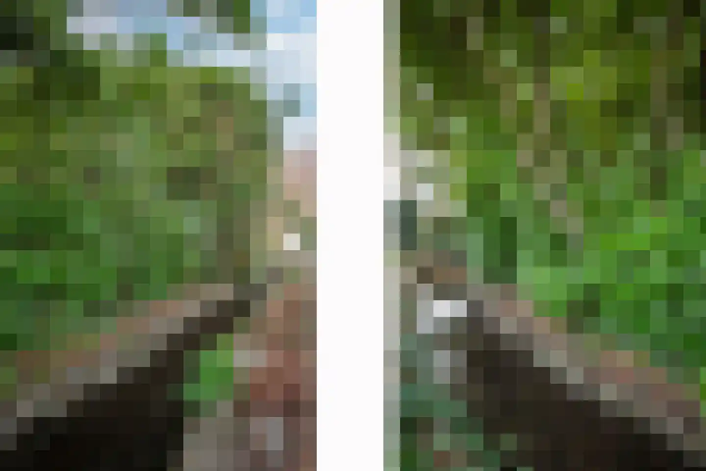 Jonagold 42 Elst thumbnail 21