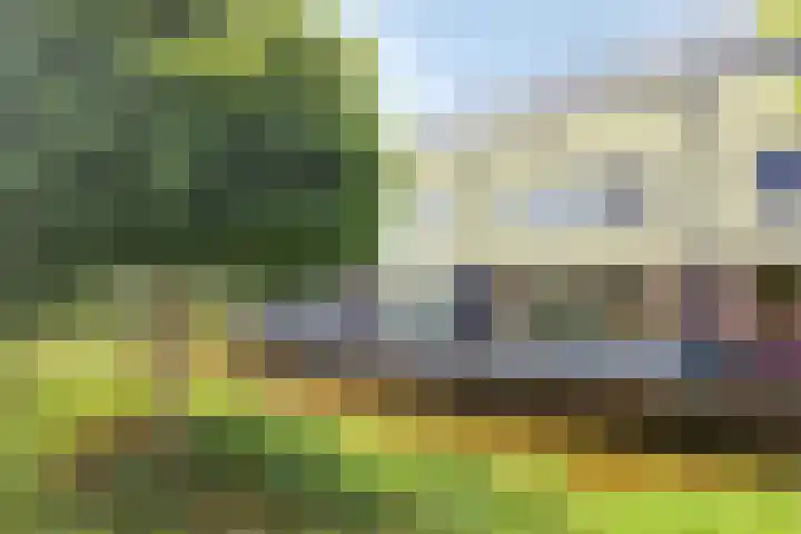 Jonagold 42 Elst thumbnail 23