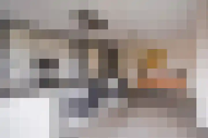 Jonagold 42 Elst thumbnail 26