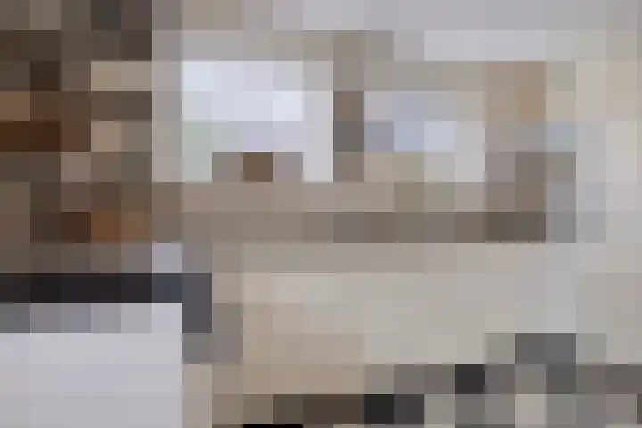 Jonagold 42 Elst thumbnail 29