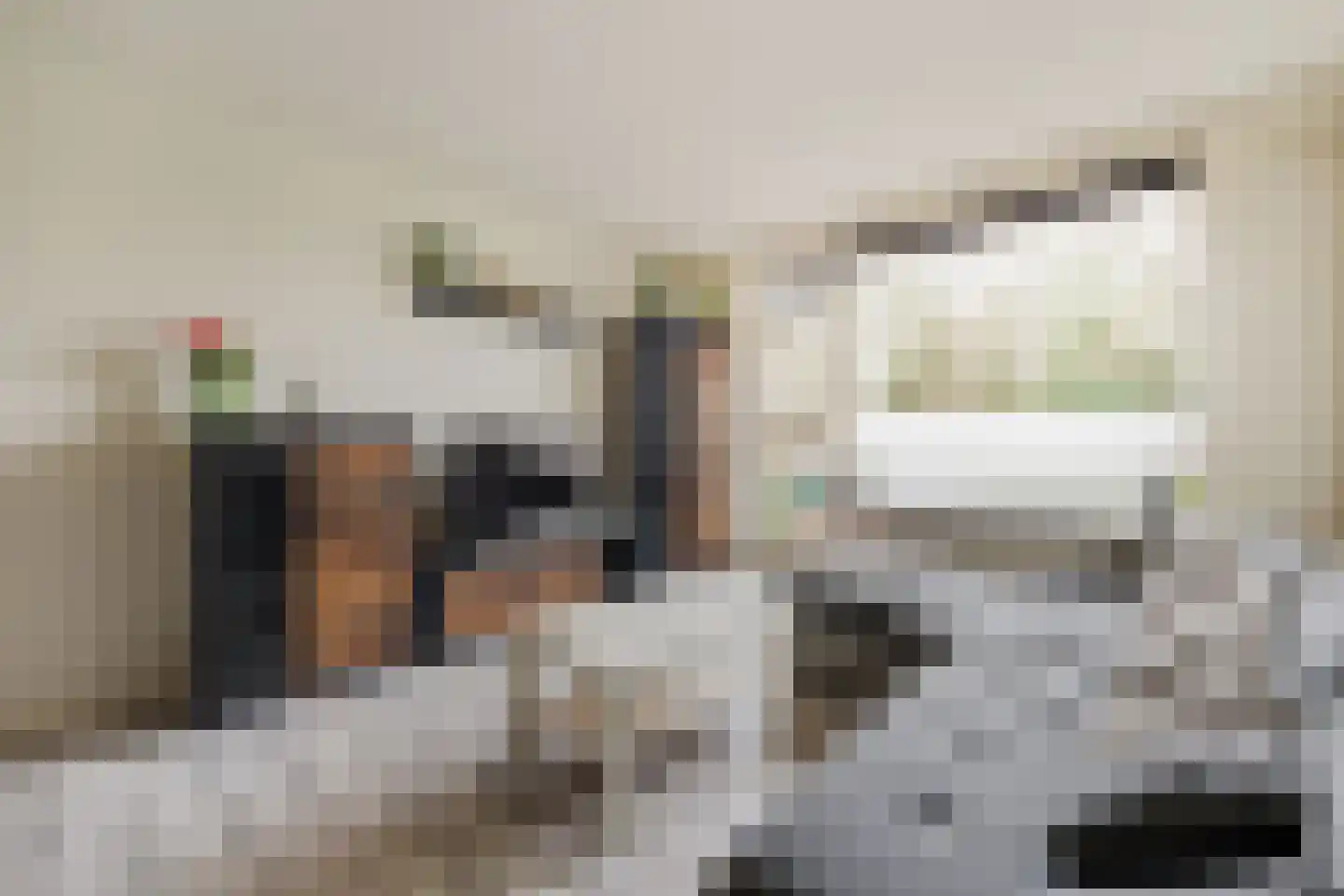 Jonagold 42 Elst thumbnail 31