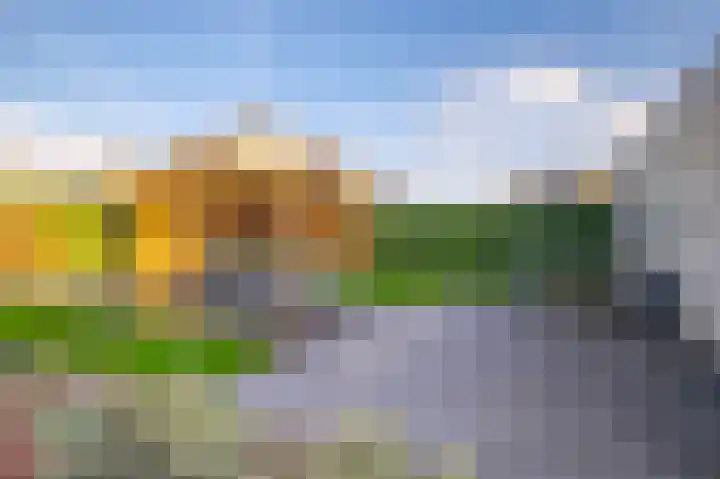 Jonagold 42 Elst thumbnail 33