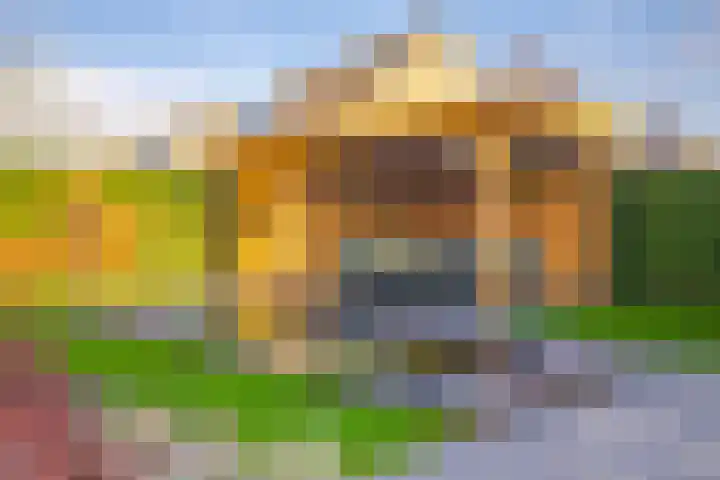 Jonagold 42 Elst thumbnail 34