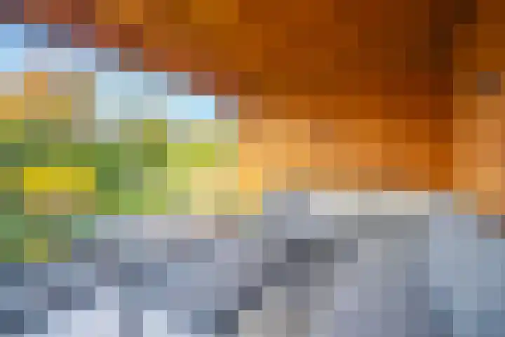 Jonagold 42 Elst thumbnail 37