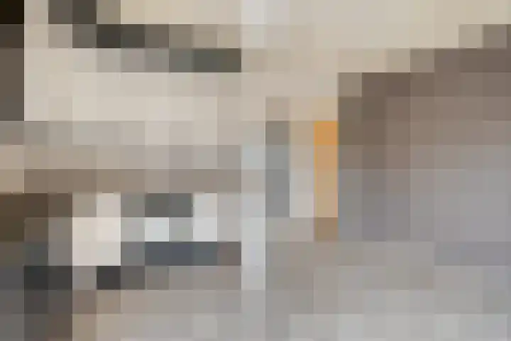 Jonagold 42 Elst thumbnail 40