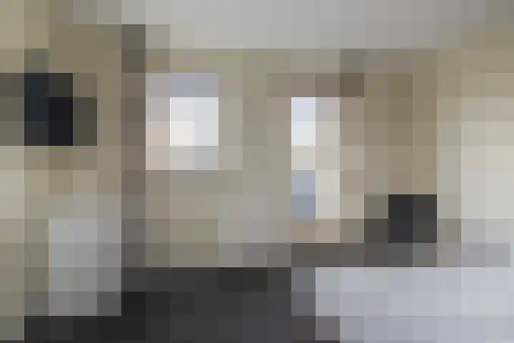 Jonagold 42 Elst thumbnail 41