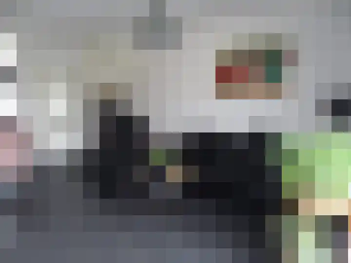 Jonagold 42 Elst thumbnail 48