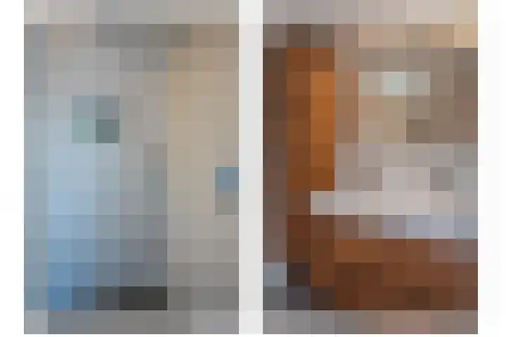 Jonagold 42 Elst thumbnail 49