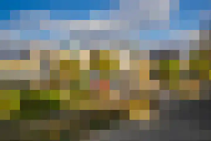 Jonagold 42 Elst thumbnail 5