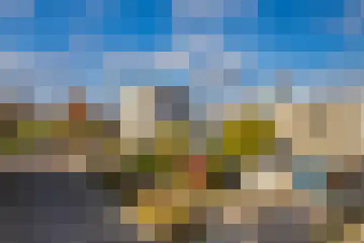 Jonagold 42 Elst thumbnail 51