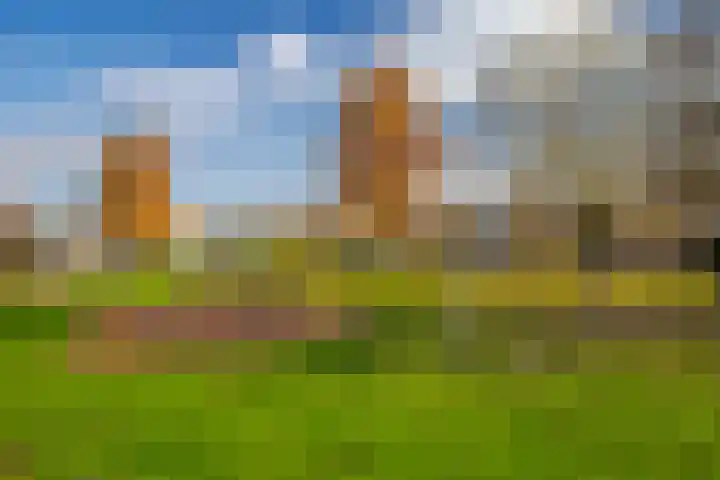 Jonagold 42 Elst thumbnail 52