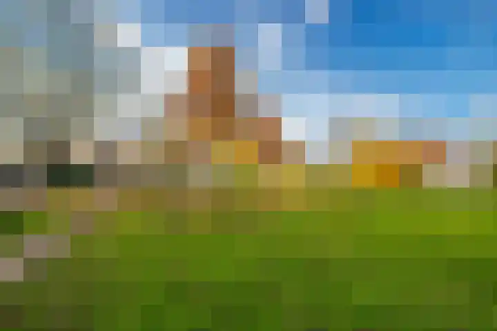 Jonagold 42 Elst thumbnail 53