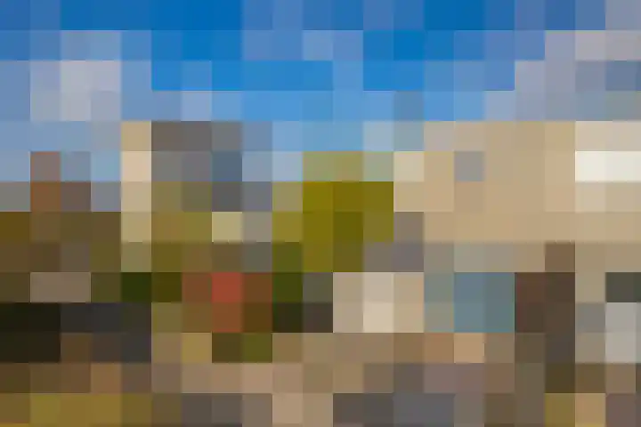 Jonagold 42 Elst thumbnail 6