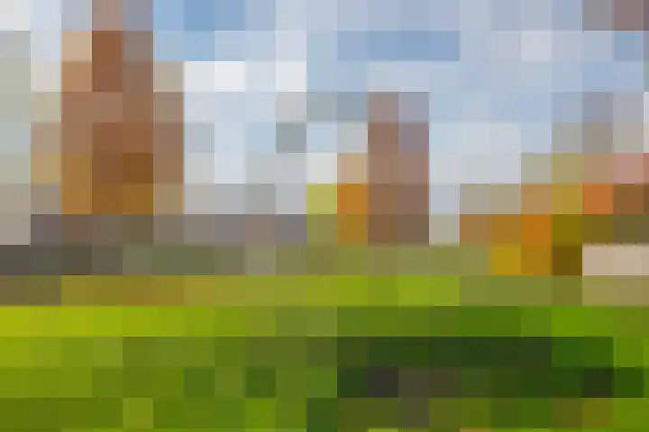 Jonagold 42 Elst thumbnail 9