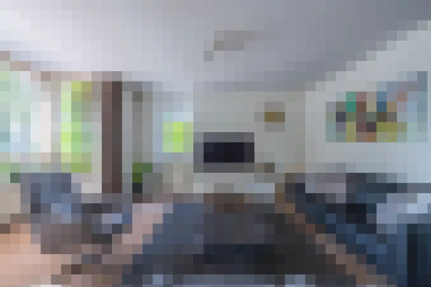 Jonagold 5 Elst thumbnail 12