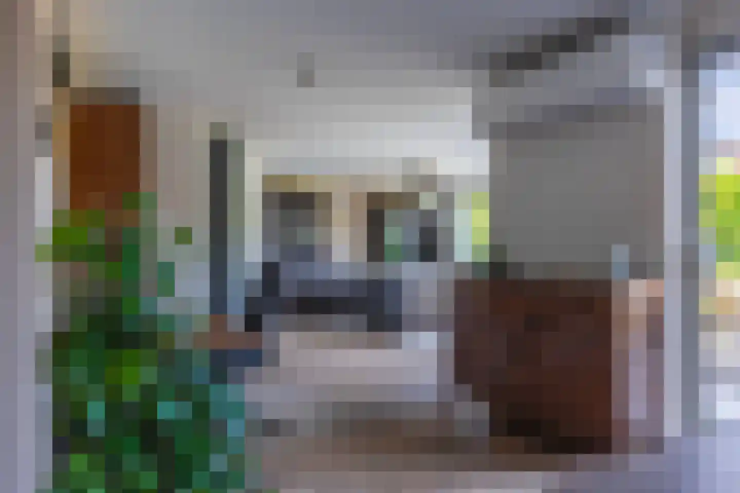 Jonagold 5 Elst thumbnail 17