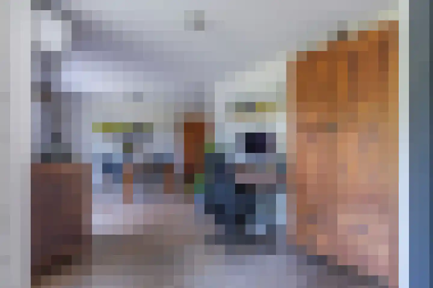 Jonagold 5 Elst thumbnail 18