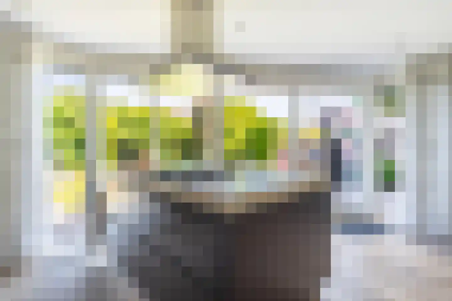 Jonagold 5 Elst thumbnail 20