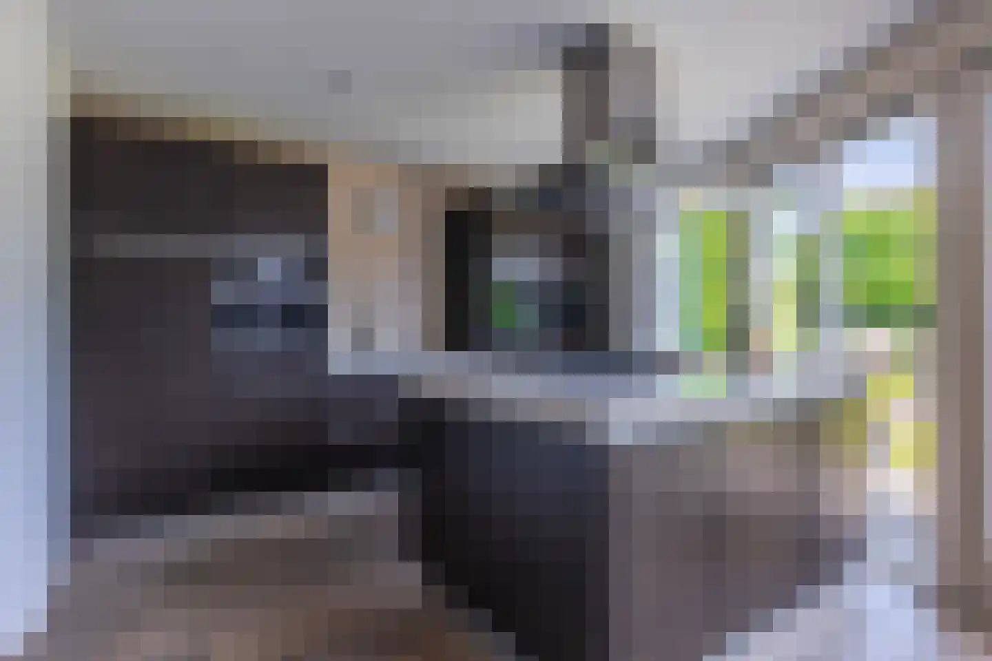 Jonagold 5 Elst thumbnail 21