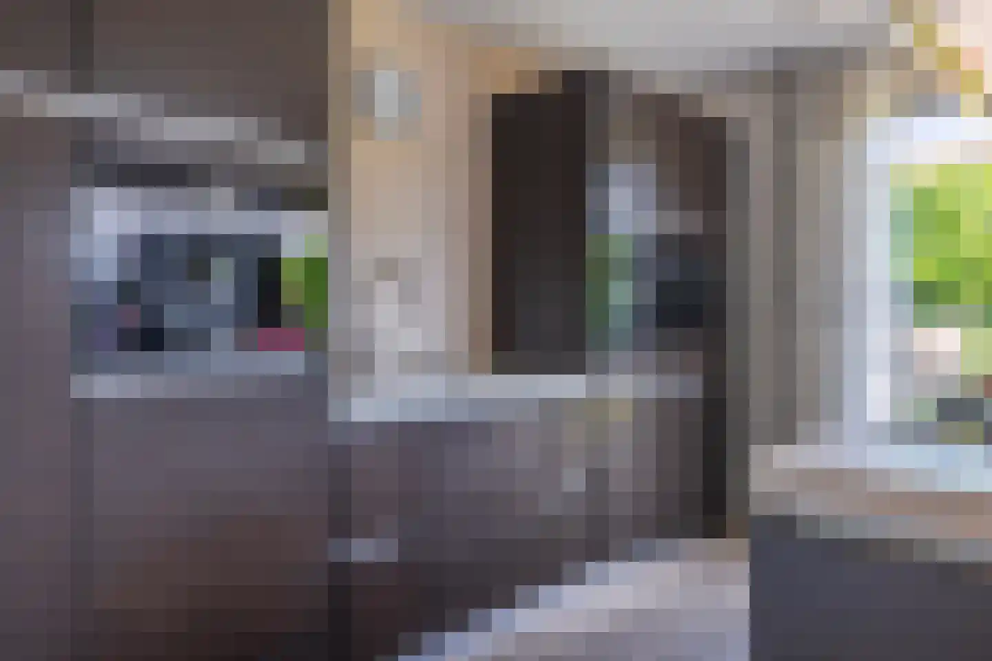 Jonagold 5 Elst thumbnail 22