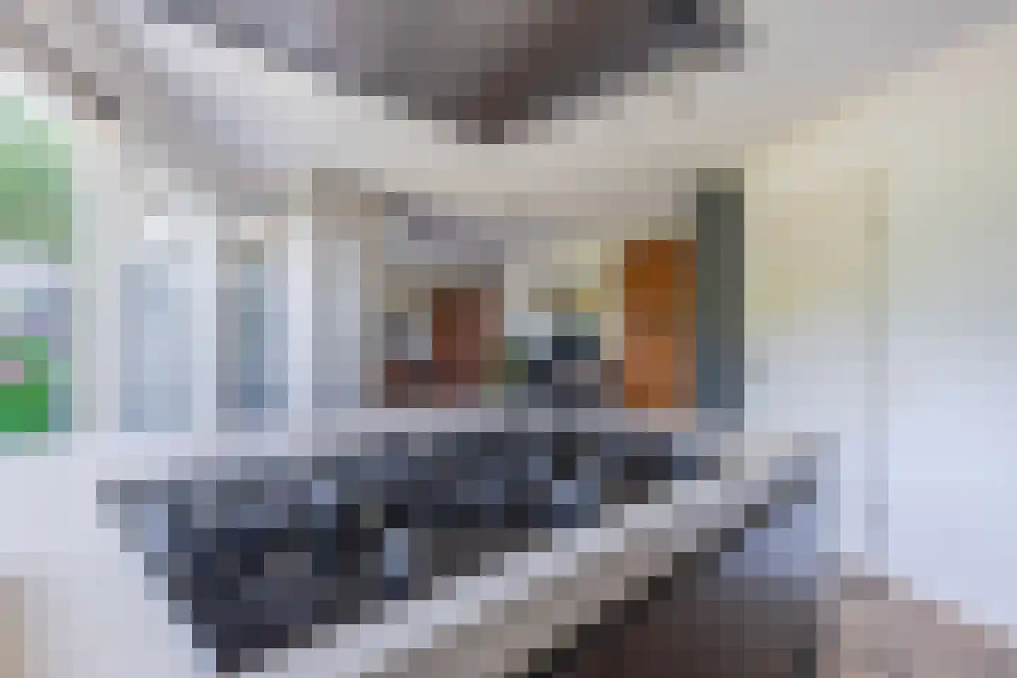Jonagold 5 Elst thumbnail 24