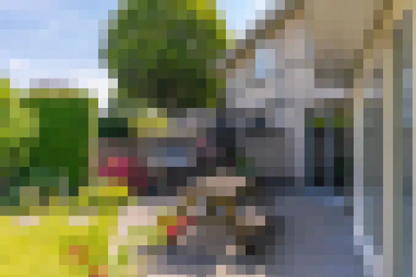 Jonagold 5 Elst thumbnail 25
