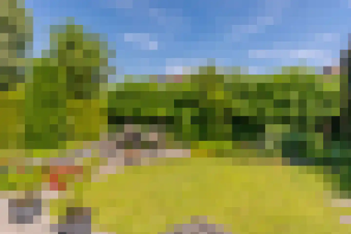 Jonagold 5 Elst thumbnail 27