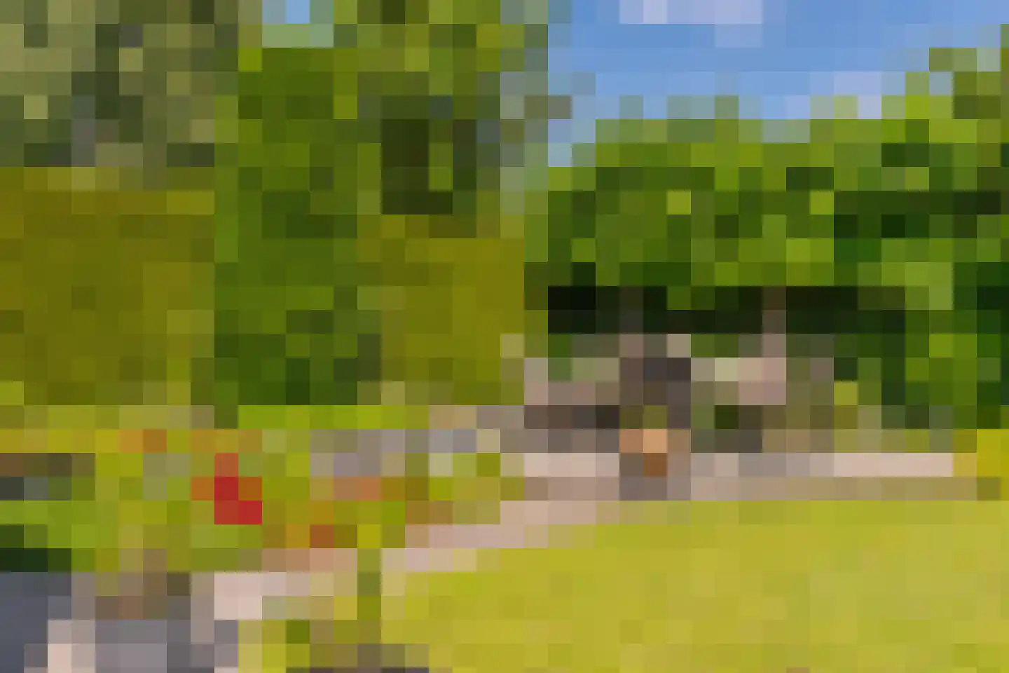 Jonagold 5 Elst thumbnail 28
