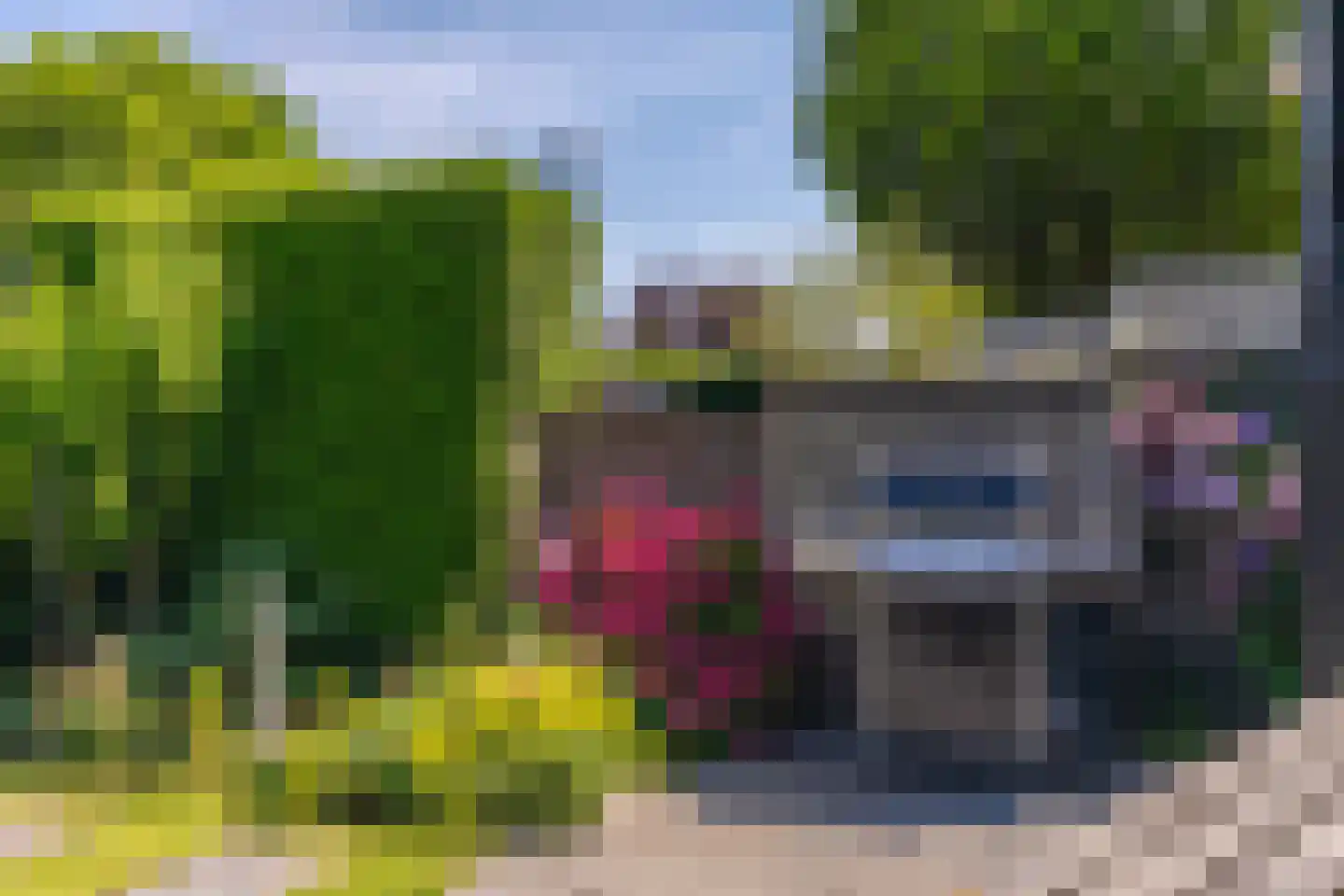 Jonagold 5 Elst thumbnail 29