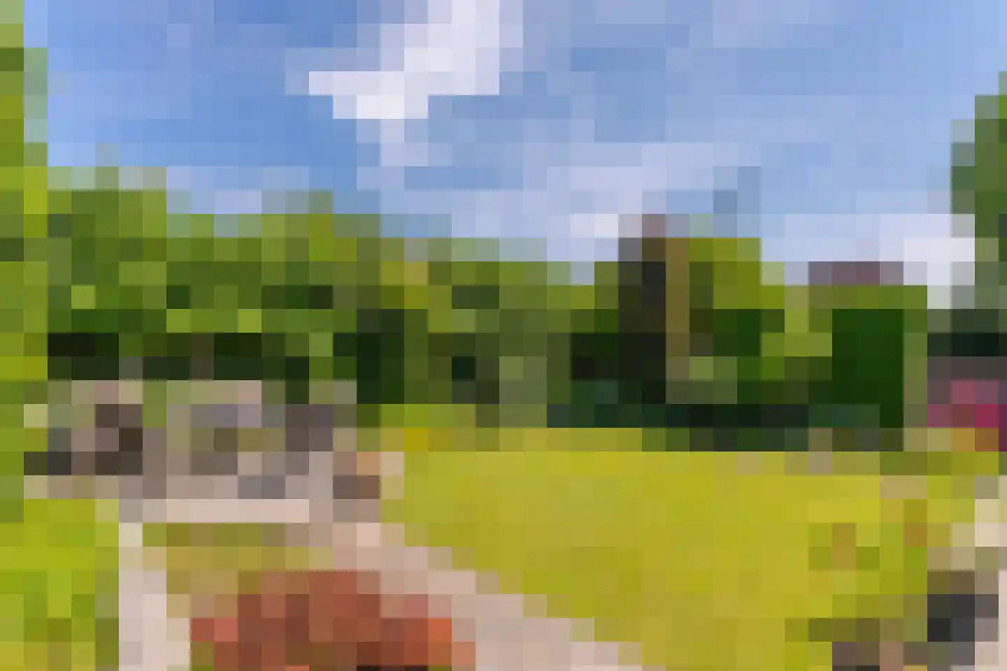 Jonagold 5 Elst thumbnail 30