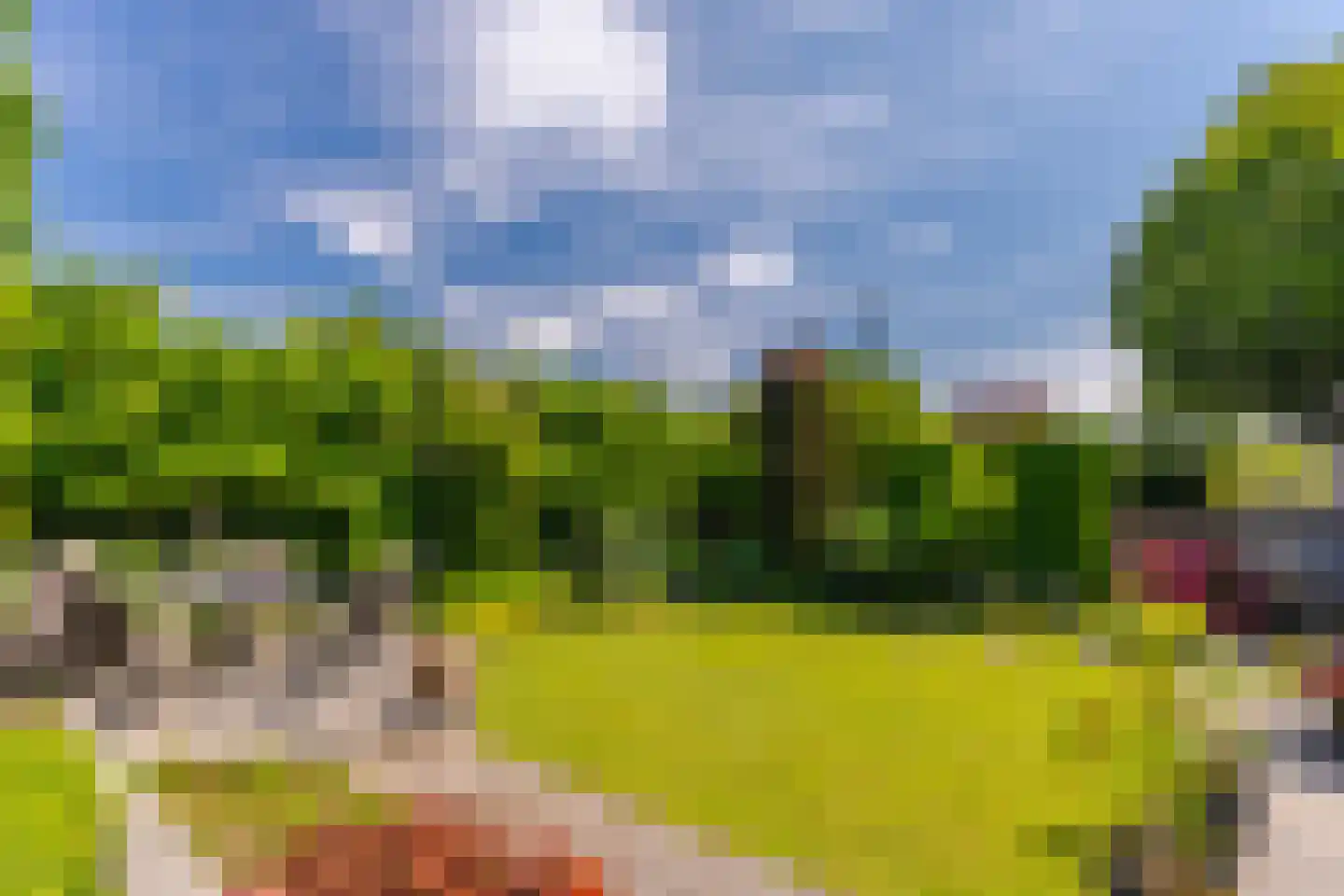 Jonagold 5 Elst thumbnail 32
